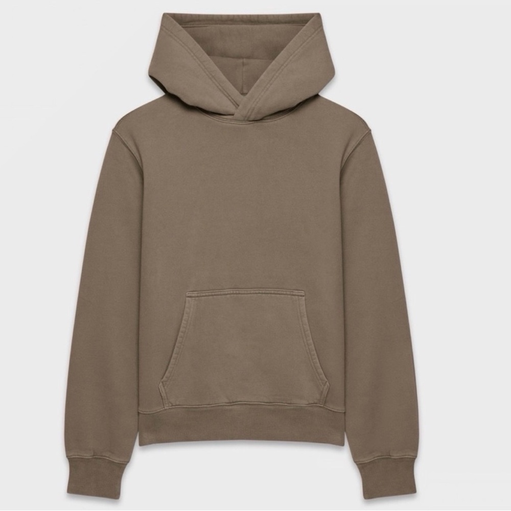 Aritzia Cozy Sweatfleece Perfect Hoodie